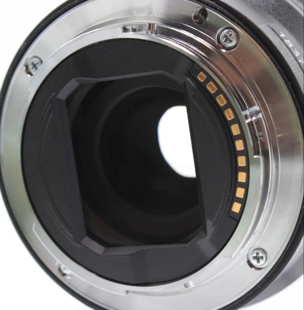 レンズ(単焦点) Sony FE 1.8/20 G SEL20F18G