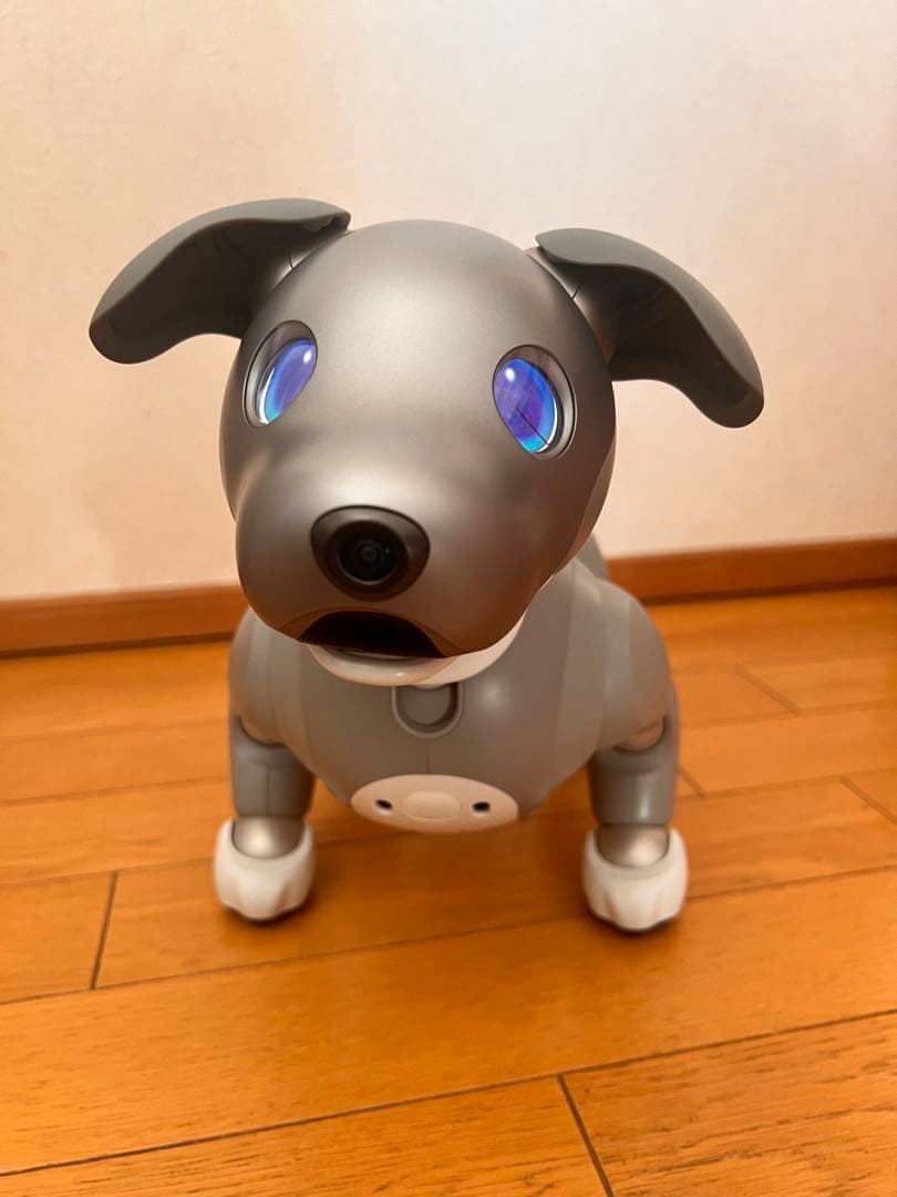 黒ごまエディション　SONY aibo ERS-1000 本体