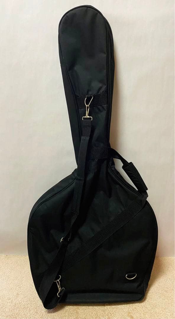 ⭐︎レア⭐︎Daisy Rock デイジーロックギター　星型　エレキ　かわいい