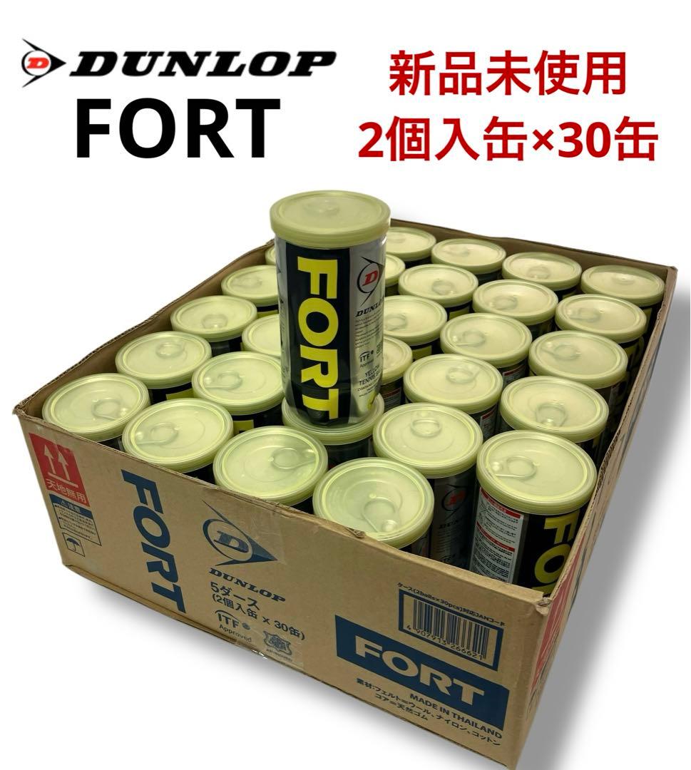 新品未開封 送料無料 2個入缶×30缶=60個　DUNLOP FORT フォート
