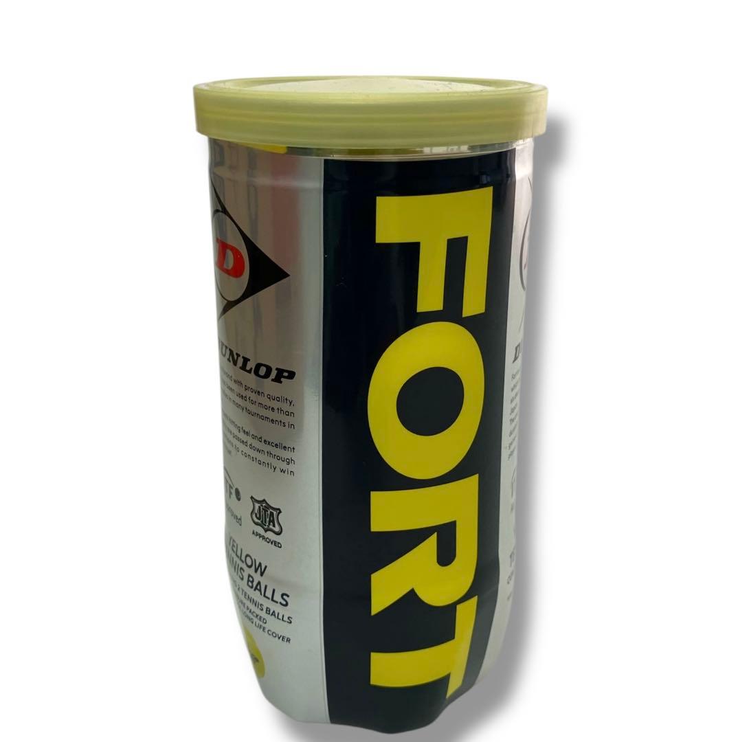 新品未開封 送料無料 2個入缶×30缶=60個　DUNLOP FORT フォート