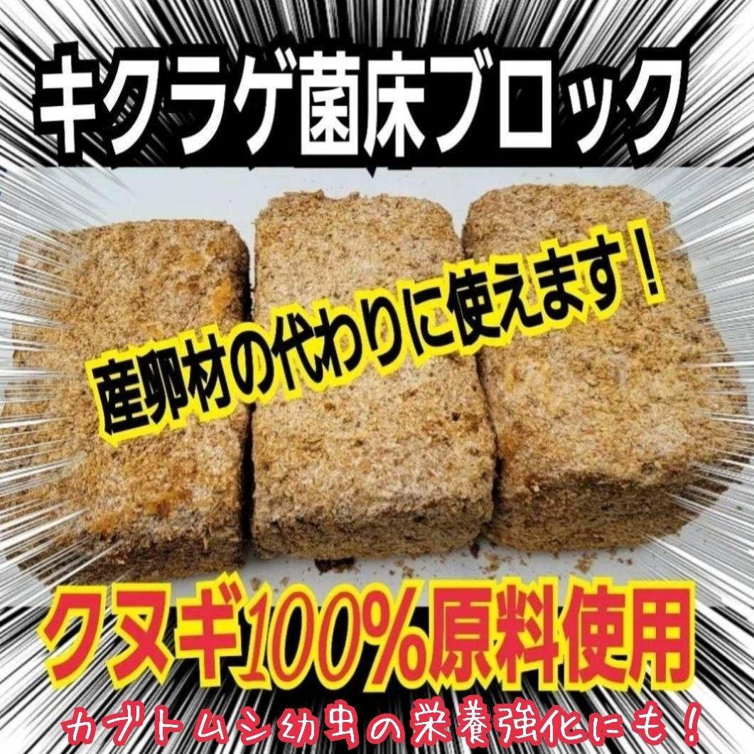 カブトムシ幼虫の栄養強化に抜群！マットに埋めるだけ！キクラゲ菌床ブロック　25個