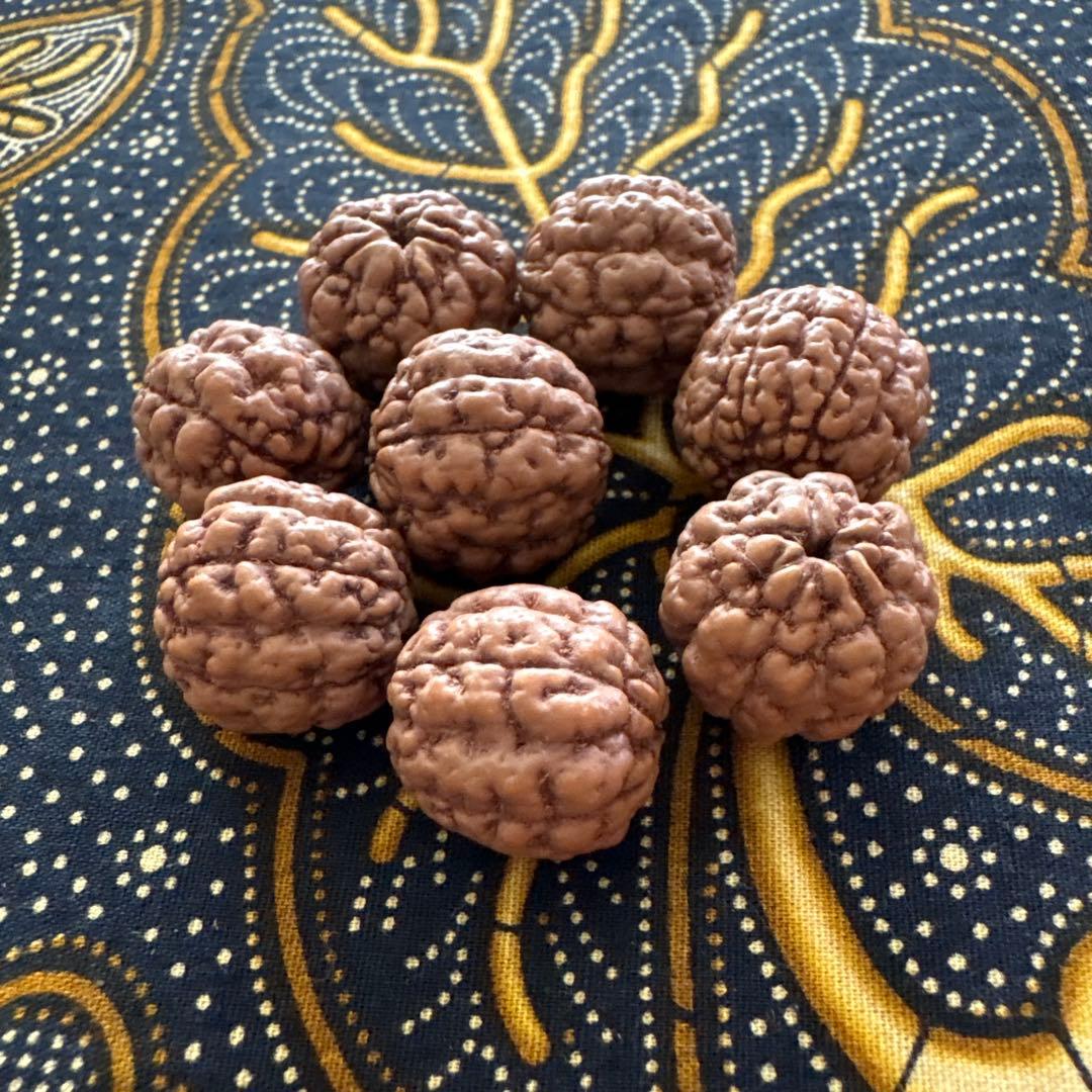 もんちゃん　ルドラクシャブレスレット他