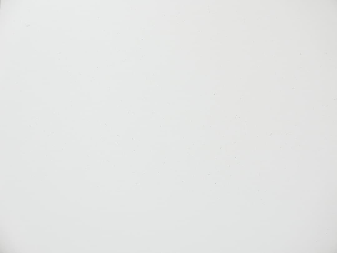 デジタルカメラ LEICA D-LUX (Typ 109)