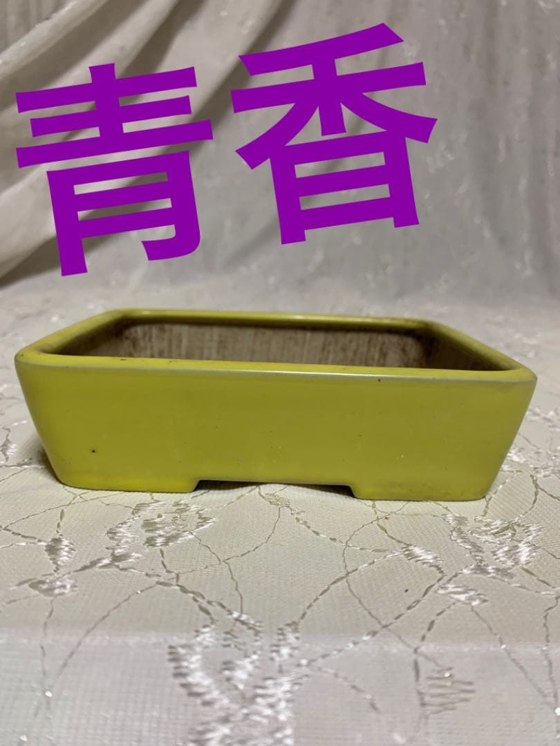 青香　長方　盆栽鉢