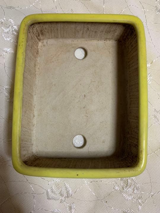 青香　長方　盆栽鉢