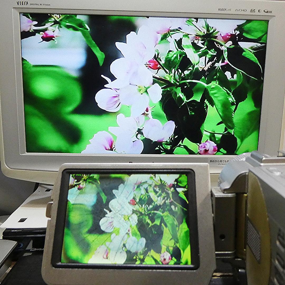 動作品ソニー DCR-TRV20 MiniDVビデオカメラ　DVDダビングに最適