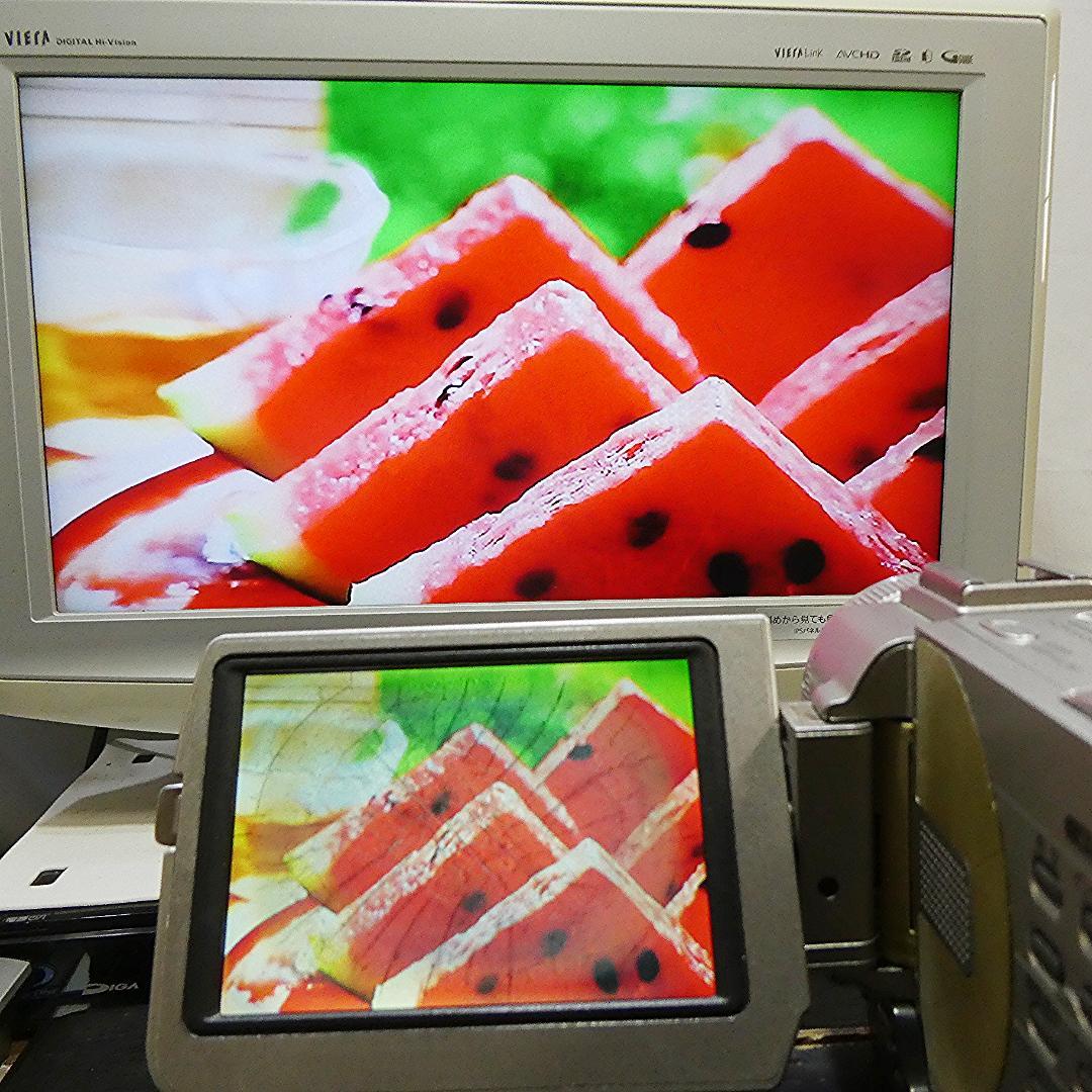 動作品ソニー DCR-TRV20 MiniDVビデオカメラ　DVDダビングに最適