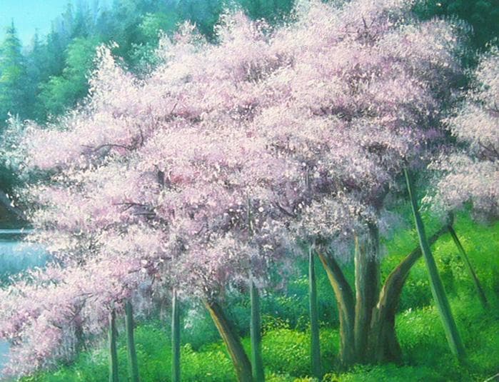 絵画 油絵 作者不詳 肉筆油絵 古木桜