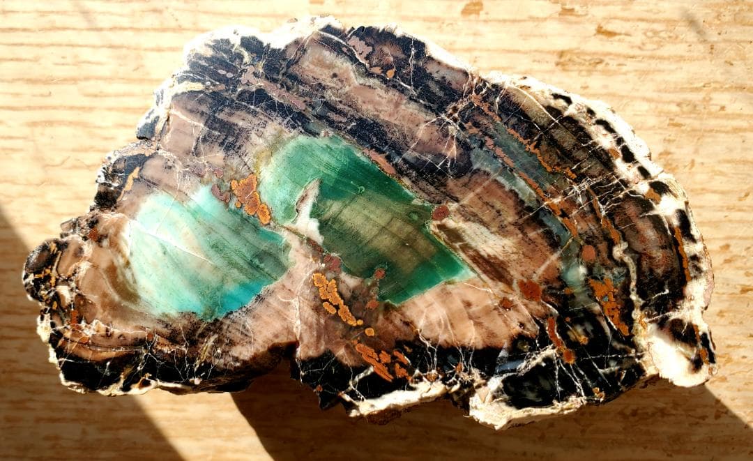 【コレクターズアイテム】オパライズドウッド／クリソコラ