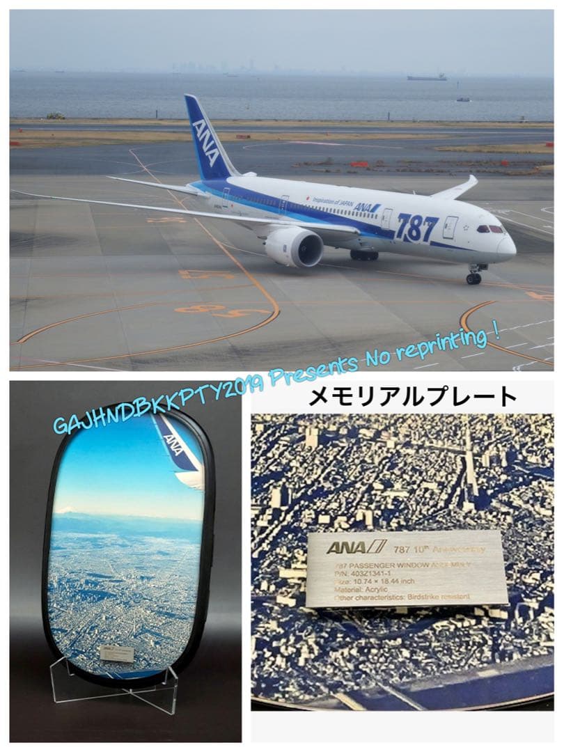 貴重 ANA B 787 客室 窓 実機取り卸し 機窓 プレート フォトスタンド