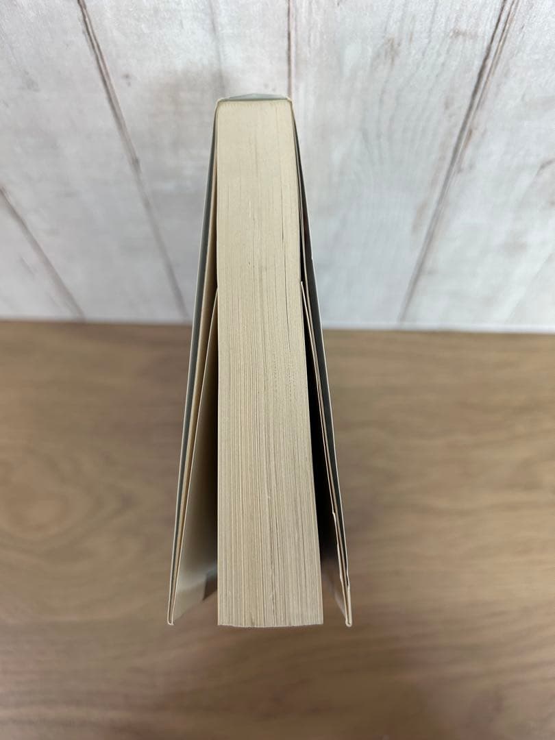 Spiritual Energy 政木 和三