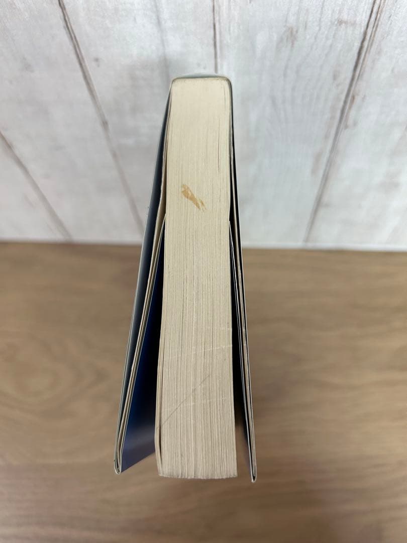 Spiritual Energy 政木 和三