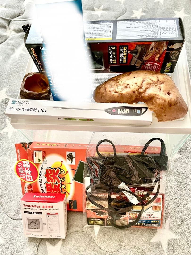 水槽 飼育セット レオパ カエル