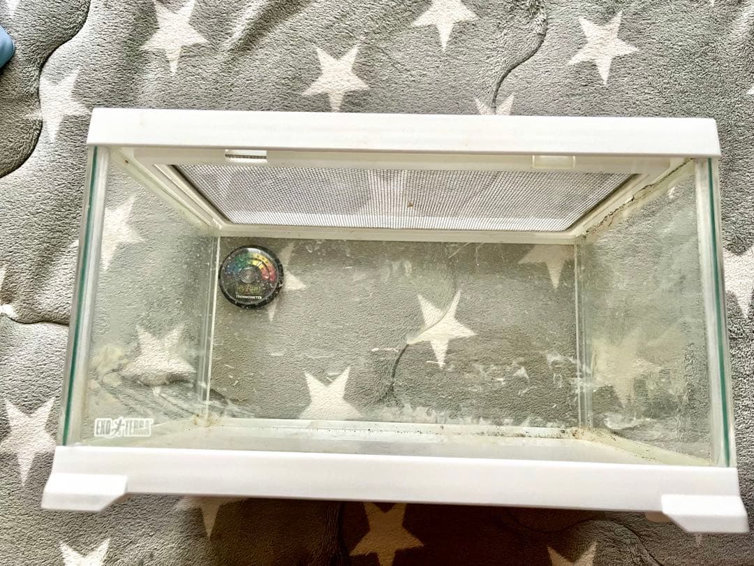 水槽 飼育セット レオパ カエル