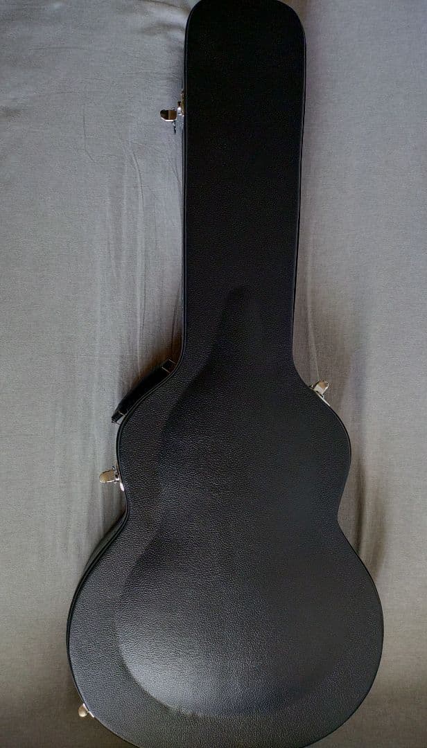 VOX Bobcat V90 Black ハードケース付き