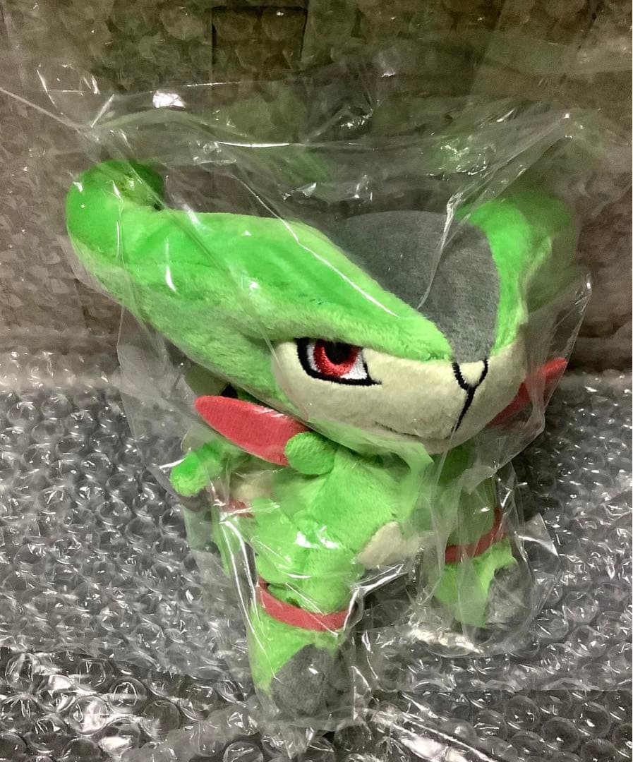 ポケモン　ぬいぐるみ　ビリジオン　202306101449 ポケモンドールズ