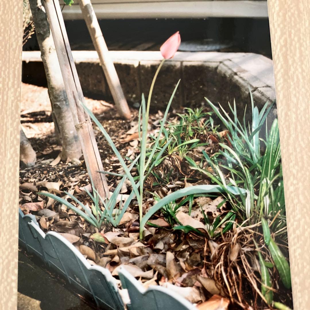 コンタックスT2 チタンブラック