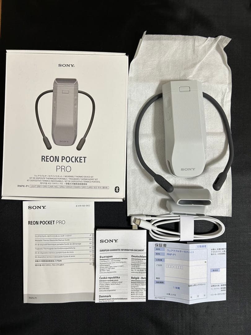 【美品】SONY REON POCKET PRO　ソニー レオンポケットプロ