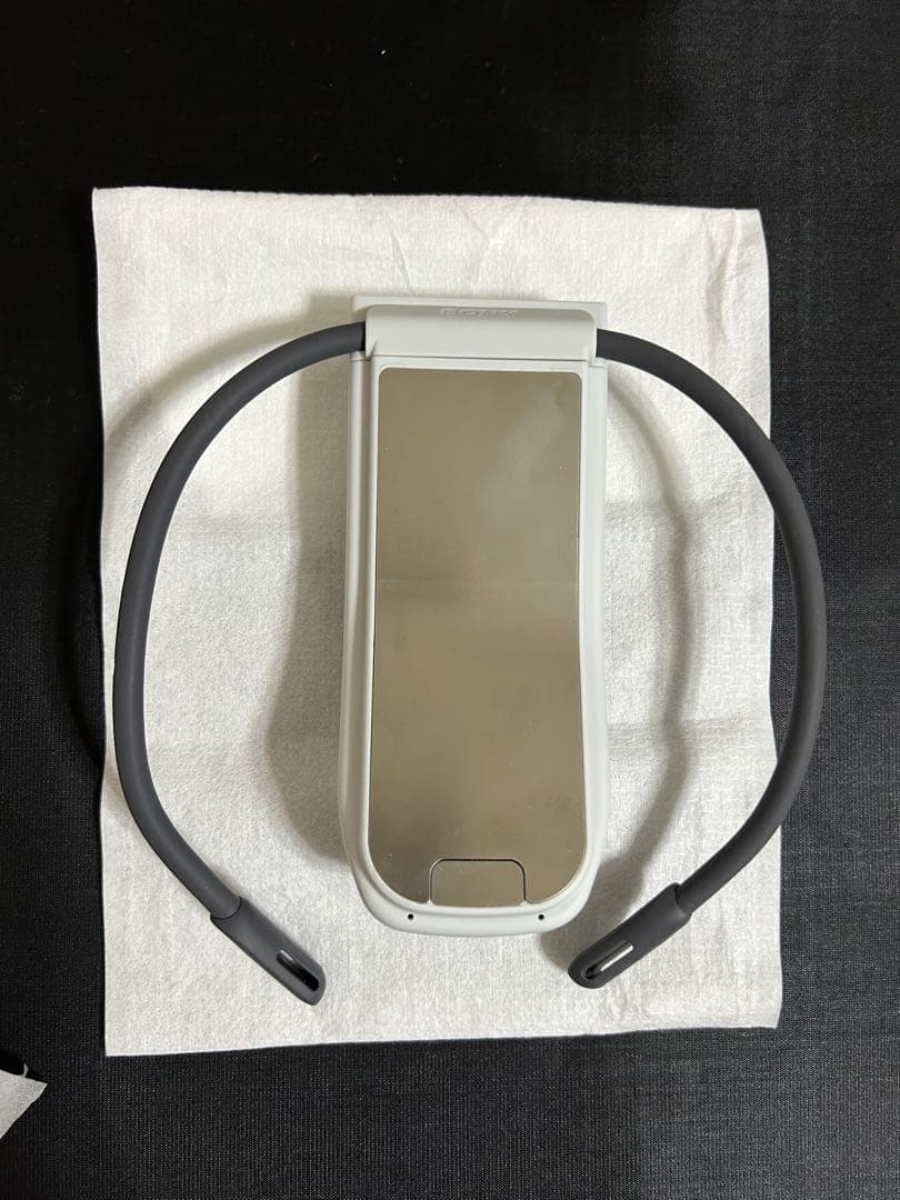 【美品】SONY REON POCKET PRO　ソニー レオンポケットプロ