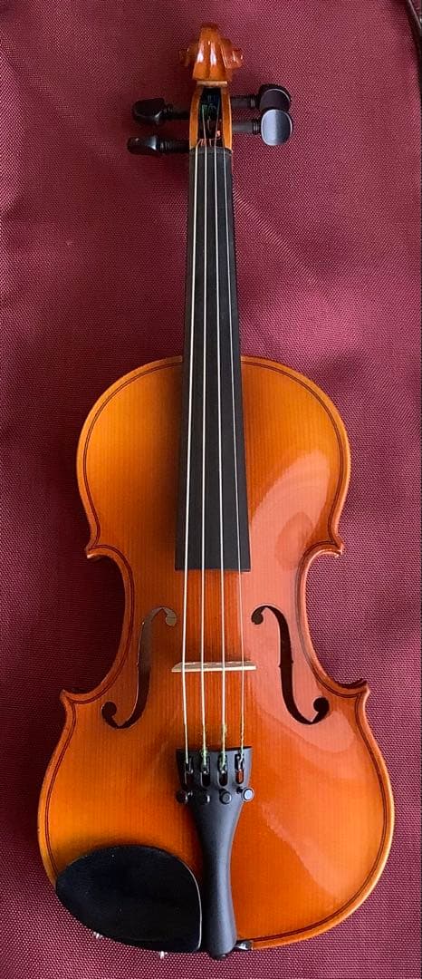 Hora Reghin レジン 1/4 バイオリン【調整済】