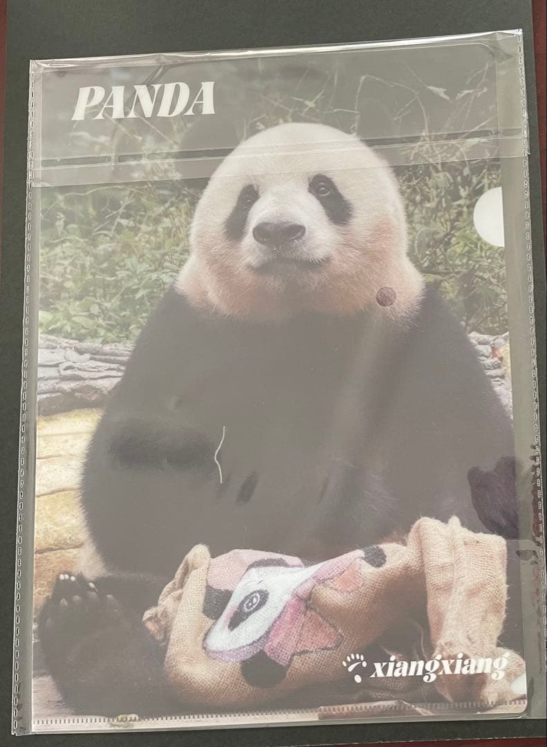 専用　シャンシャン　彩浜　楓浜