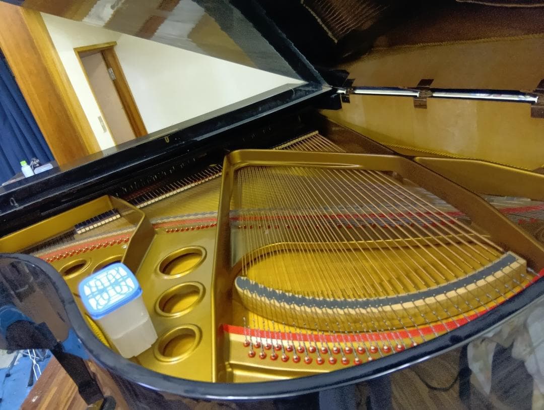 Niendorf 182グランドピアノ 88鍵 黒