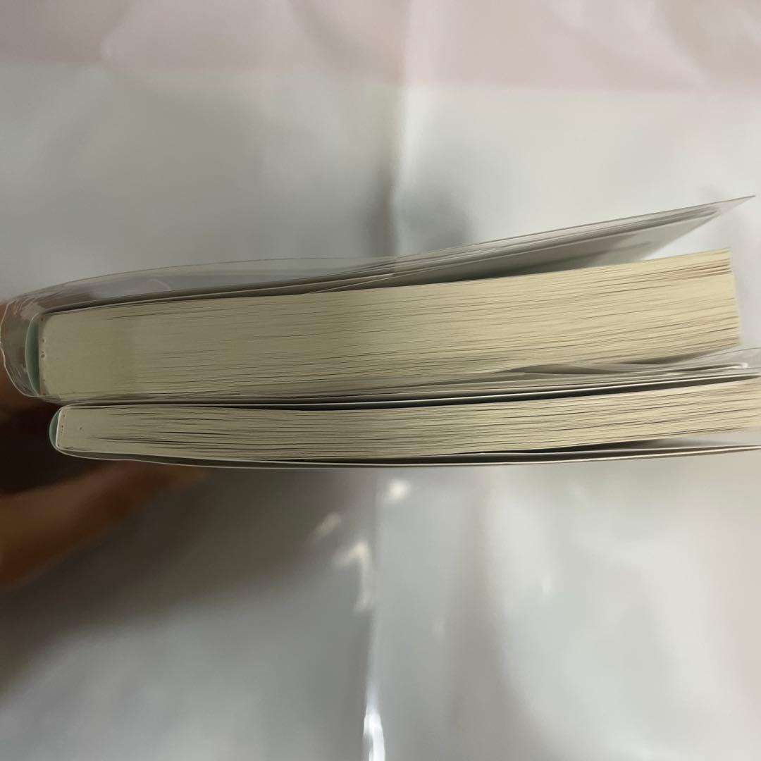 Re:ゼロから始める異世界生活 前日譚アポカリプスガールズ過ぎ去りし日々を愛して