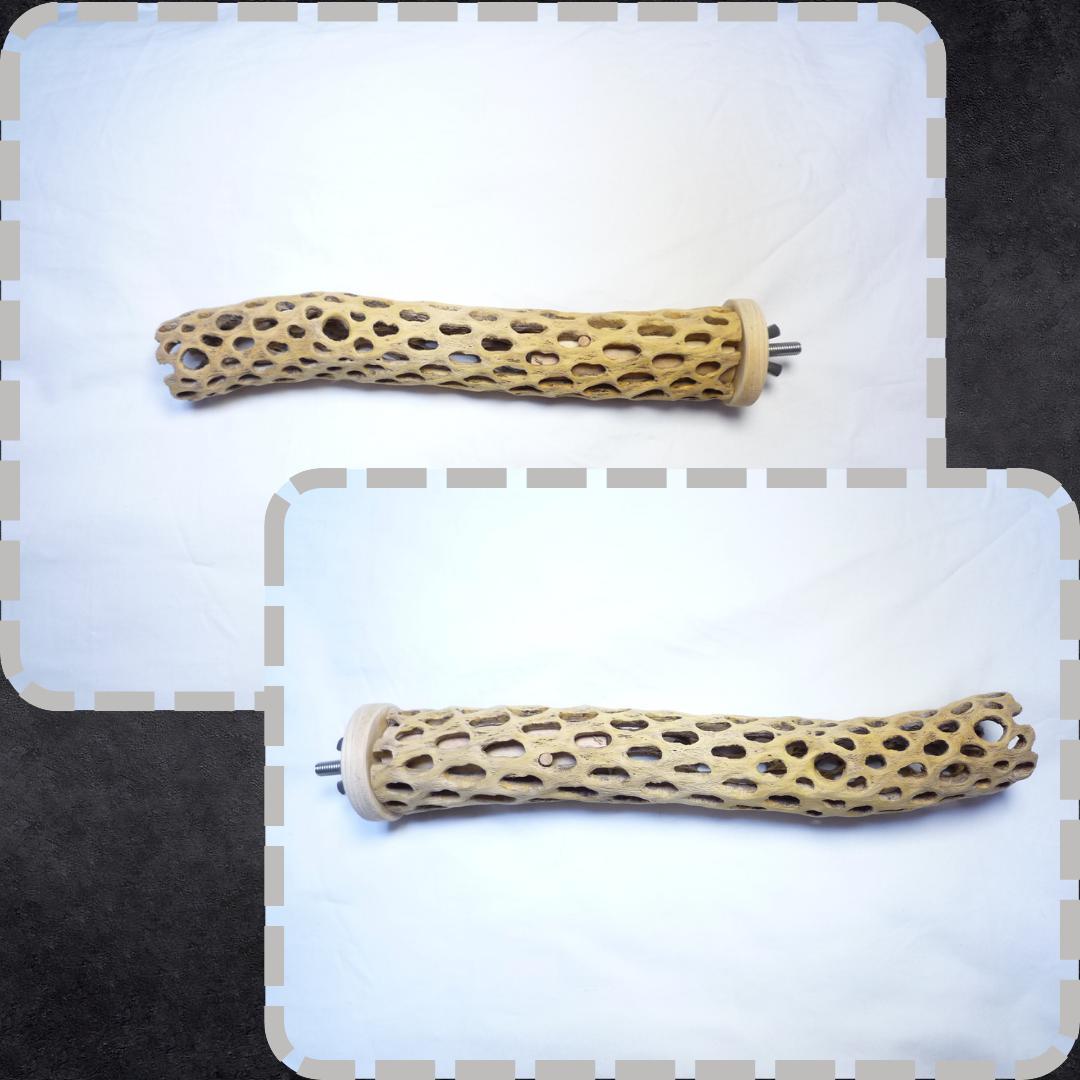 鳥用品　止まり木　カクタス　スケルトン　パーチ　特大No.216