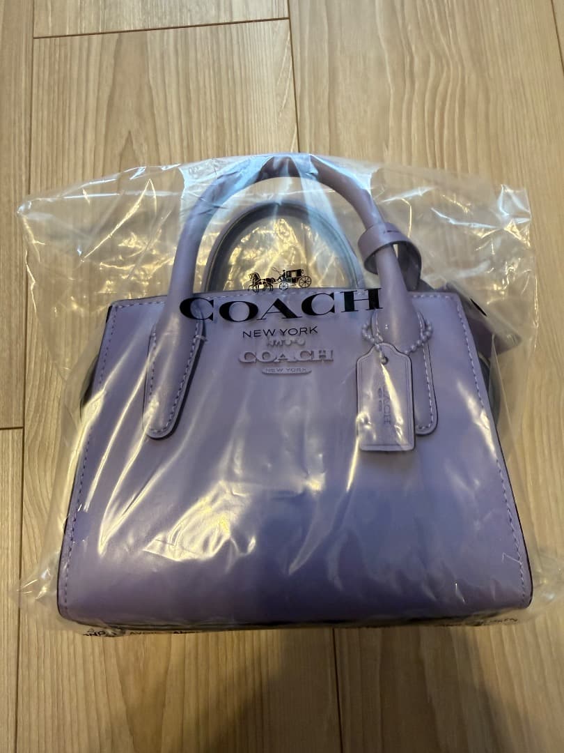 COACH　アンドレア　ミニ　キャリーオール