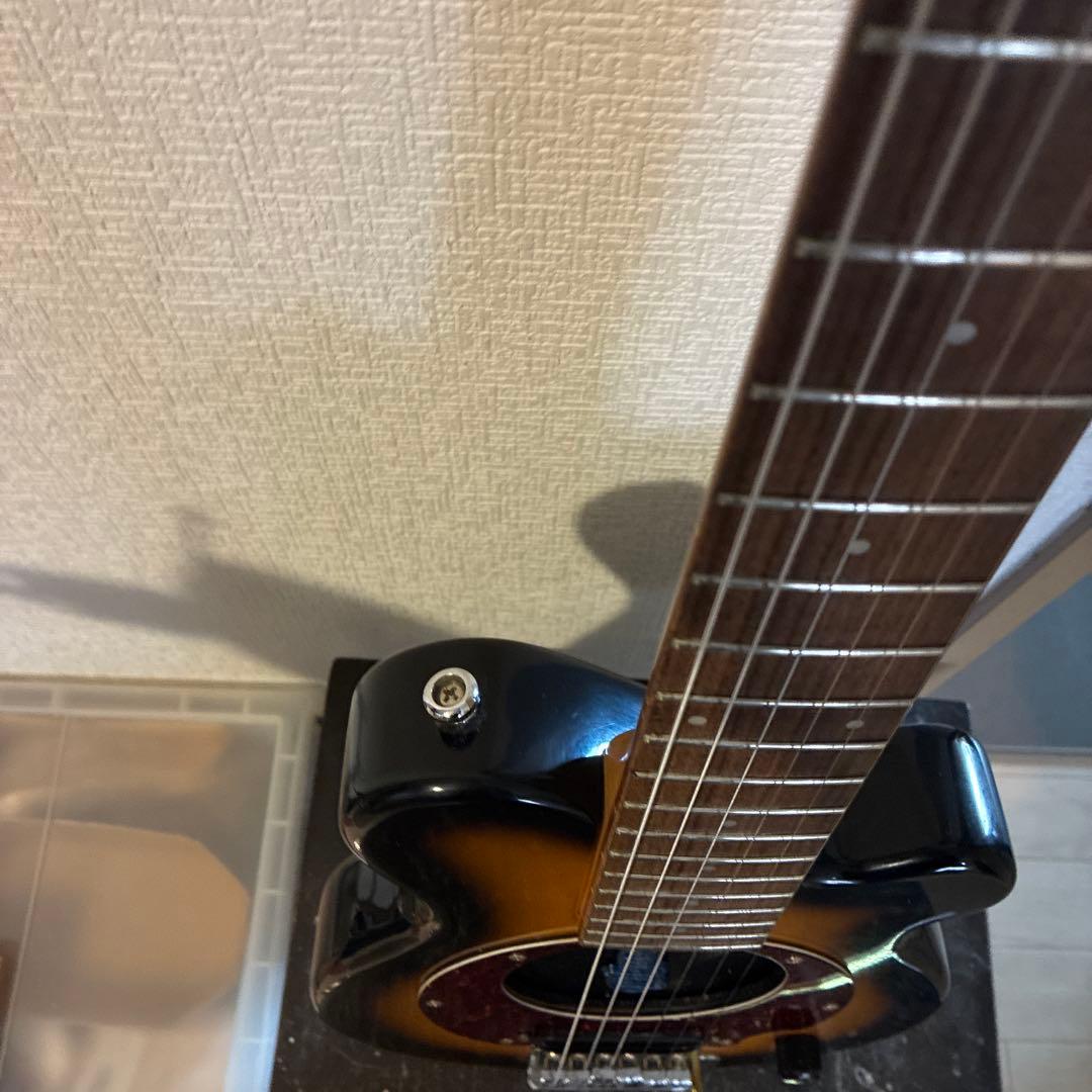 ピグノーズPGG100 サンバースト