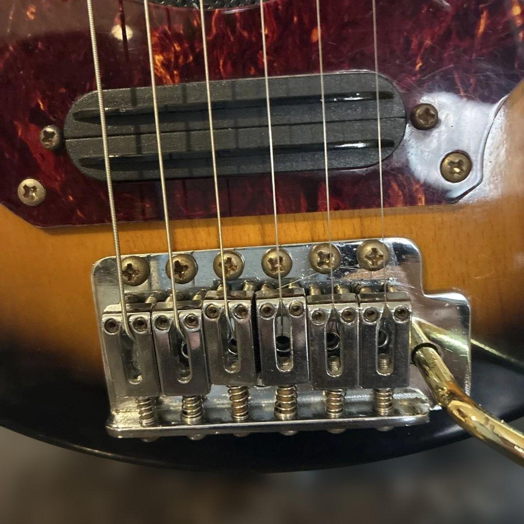 ピグノーズPGG100 サンバースト