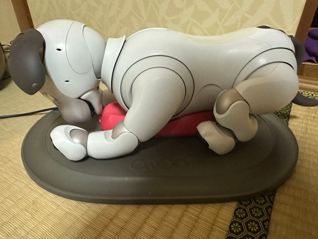 SONY AIBO☆アイボリーホワイト☆動作確認済