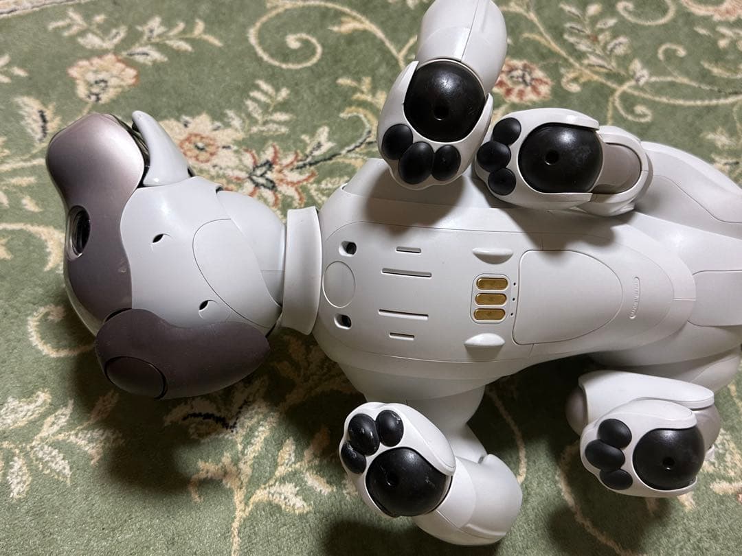 SONY AIBO☆アイボリーホワイト☆動作確認済