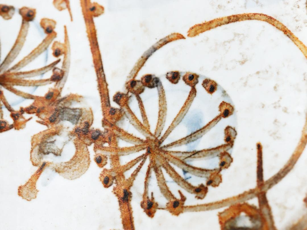 乾山 梅絵 尺三寸皿 飾り皿 大皿