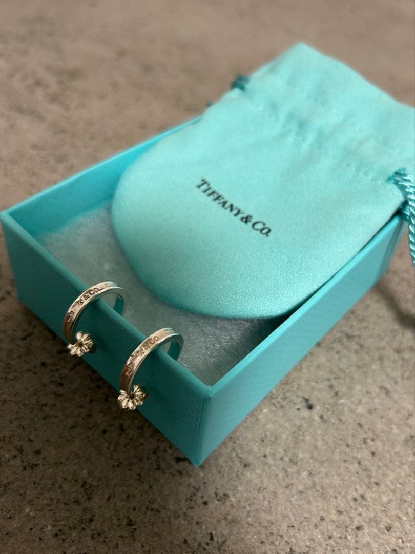 Tiffany & Co. ナロー ピアス1837 証明書付き　クリーニング済み