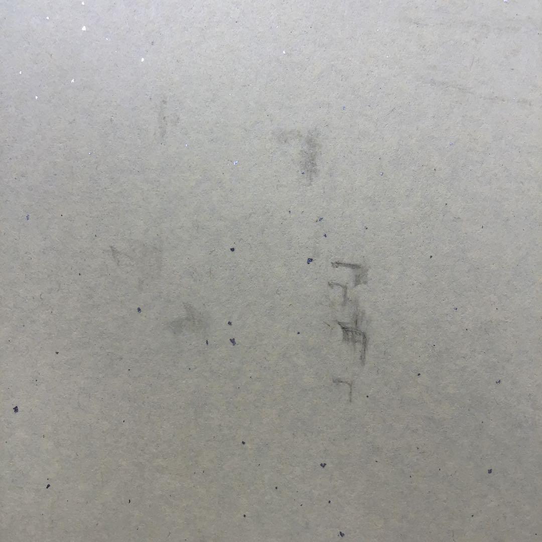 色紙　臨済宗相国寺　記念　松國大龍　畳紙　配送用袋　S1030SSD