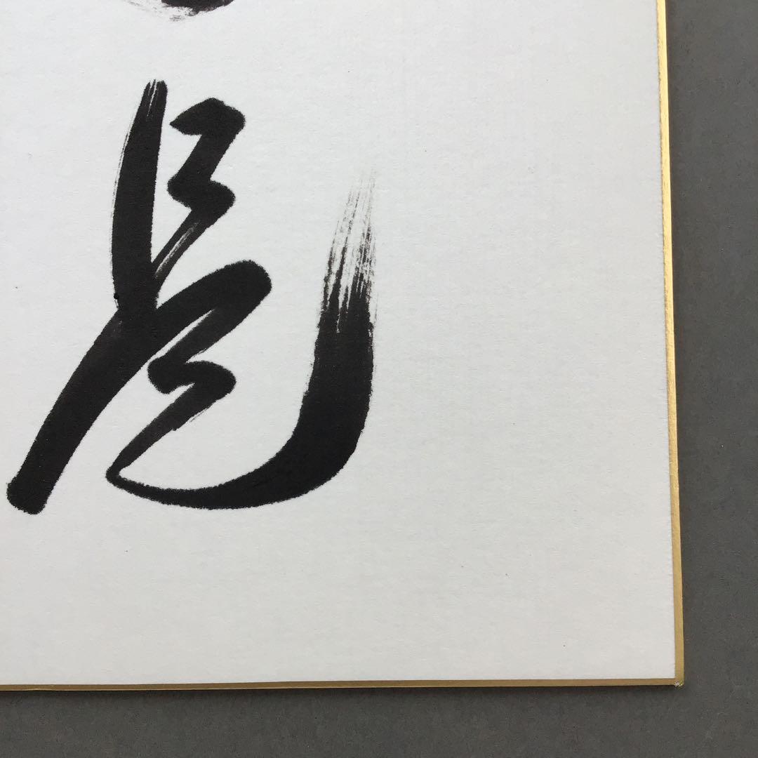 色紙　臨済宗相国寺　記念　松國大龍　畳紙　配送用袋　S1030SSD