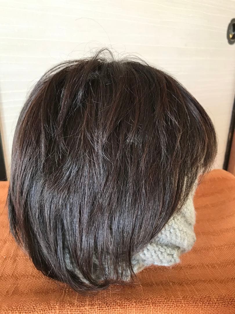 フェザー レオンカウィッグ EX-15 F4モダアクリル人毛