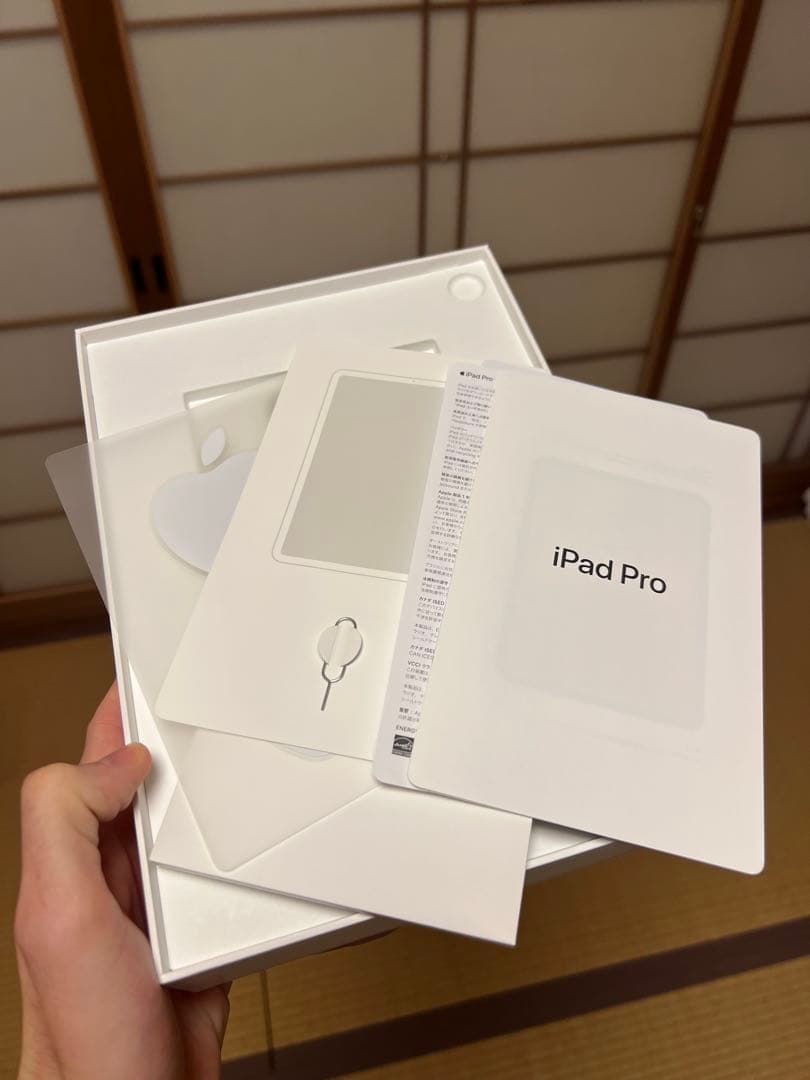 iPad Pro 11インチ 第1 512GB SIMフリー AppleCare
