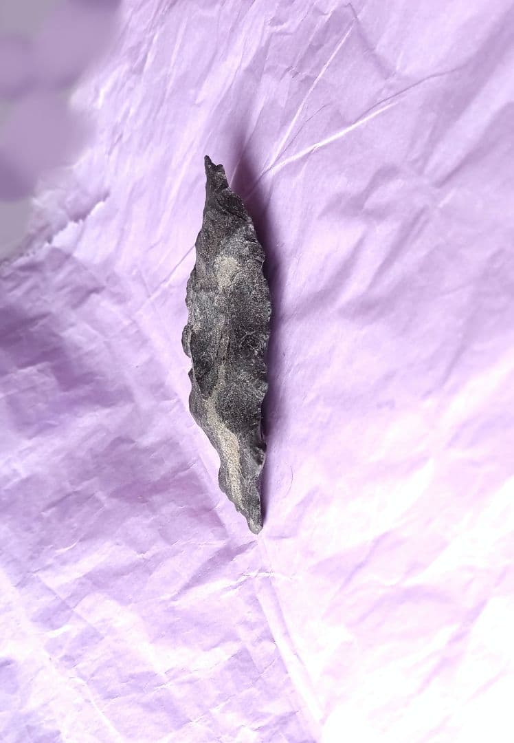 スクレイパー 石器 サヌカイト 模写