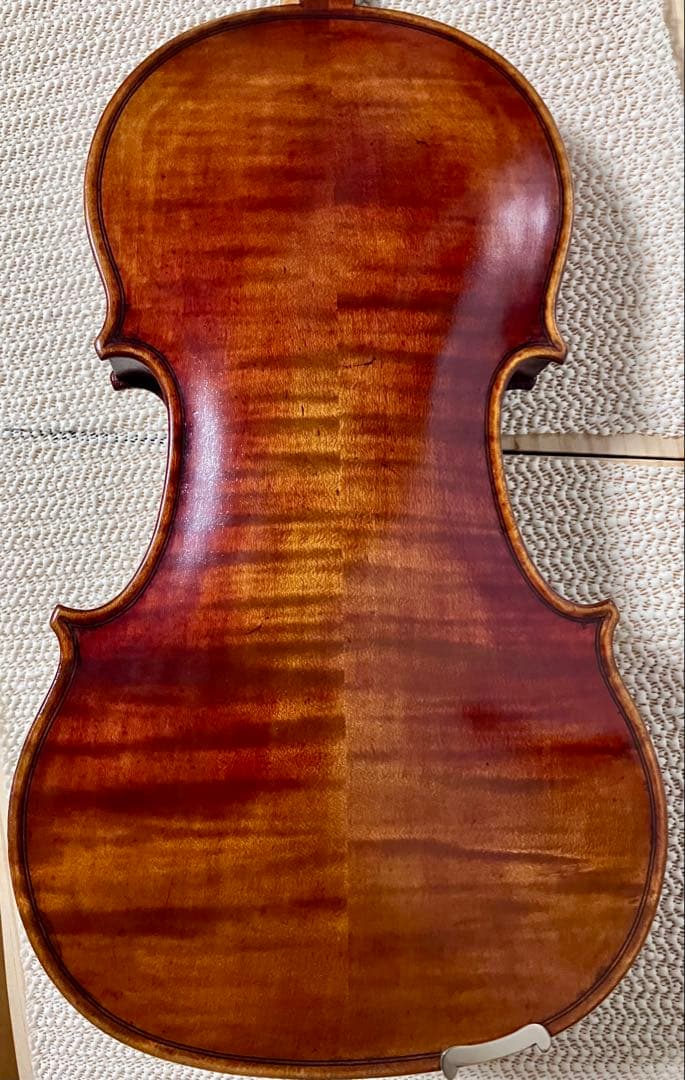 バイオリン本体(メンテナンス済み)