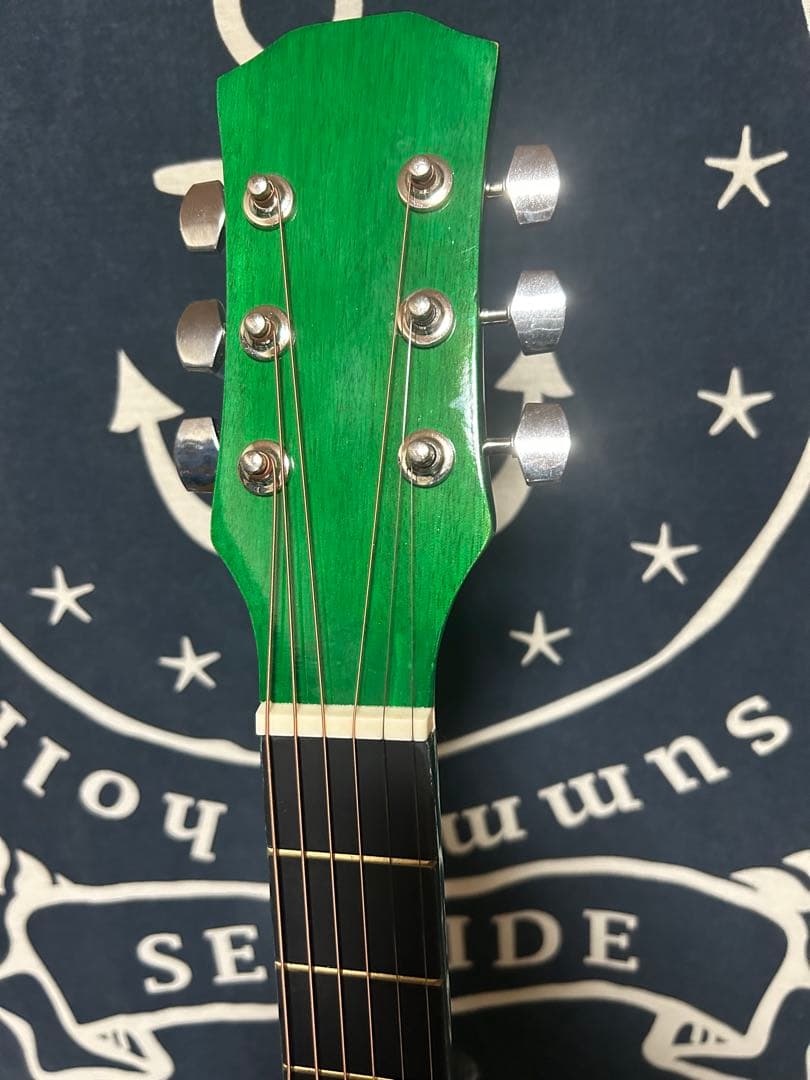 今月末迄　特価‼️新品未使用グリーン　タイガーグラフィック　アコースティックギター