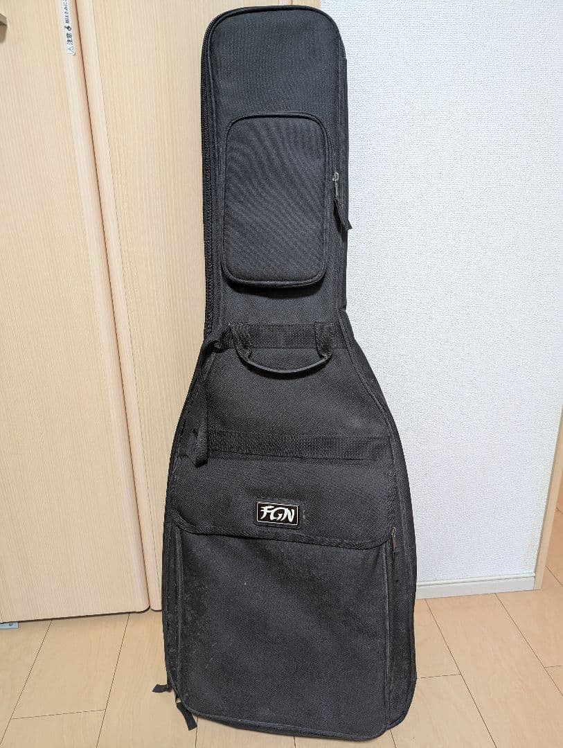 フジゲン テレキャスターシンライン