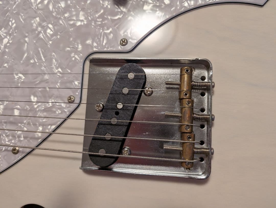 フジゲン テレキャスターシンライン