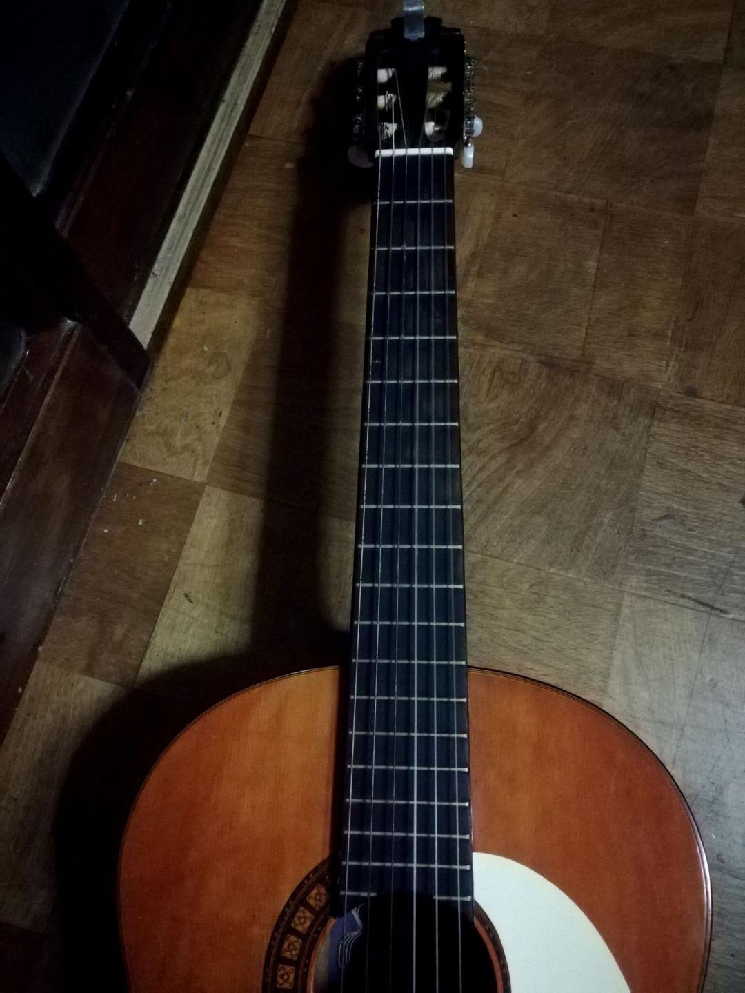 春日 クラシックギター♪
