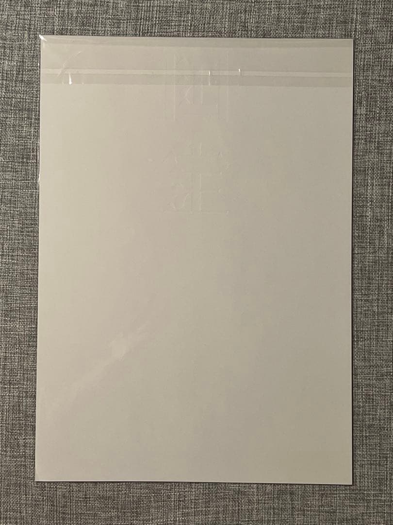 台湾 限定 映画 国宝 吉沢亮 特典 A3 ポスター 吉沢 亮