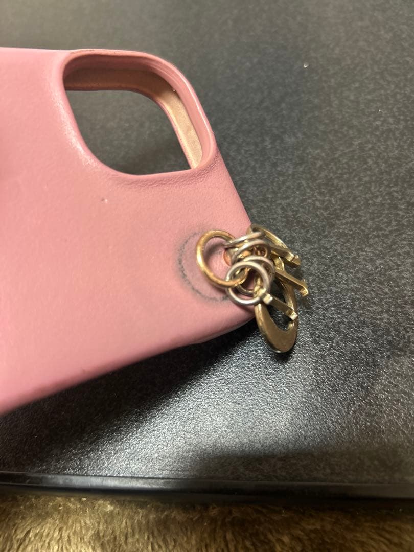 Christian Dior iPhone14 iPhoneケース