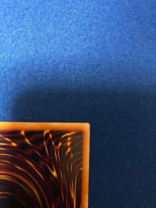 遊戯王 青眼の白龍 真紅眼の黒竜