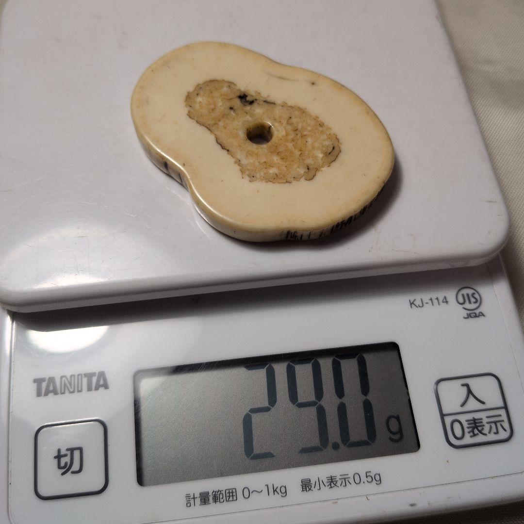 セイウチ牙 根付